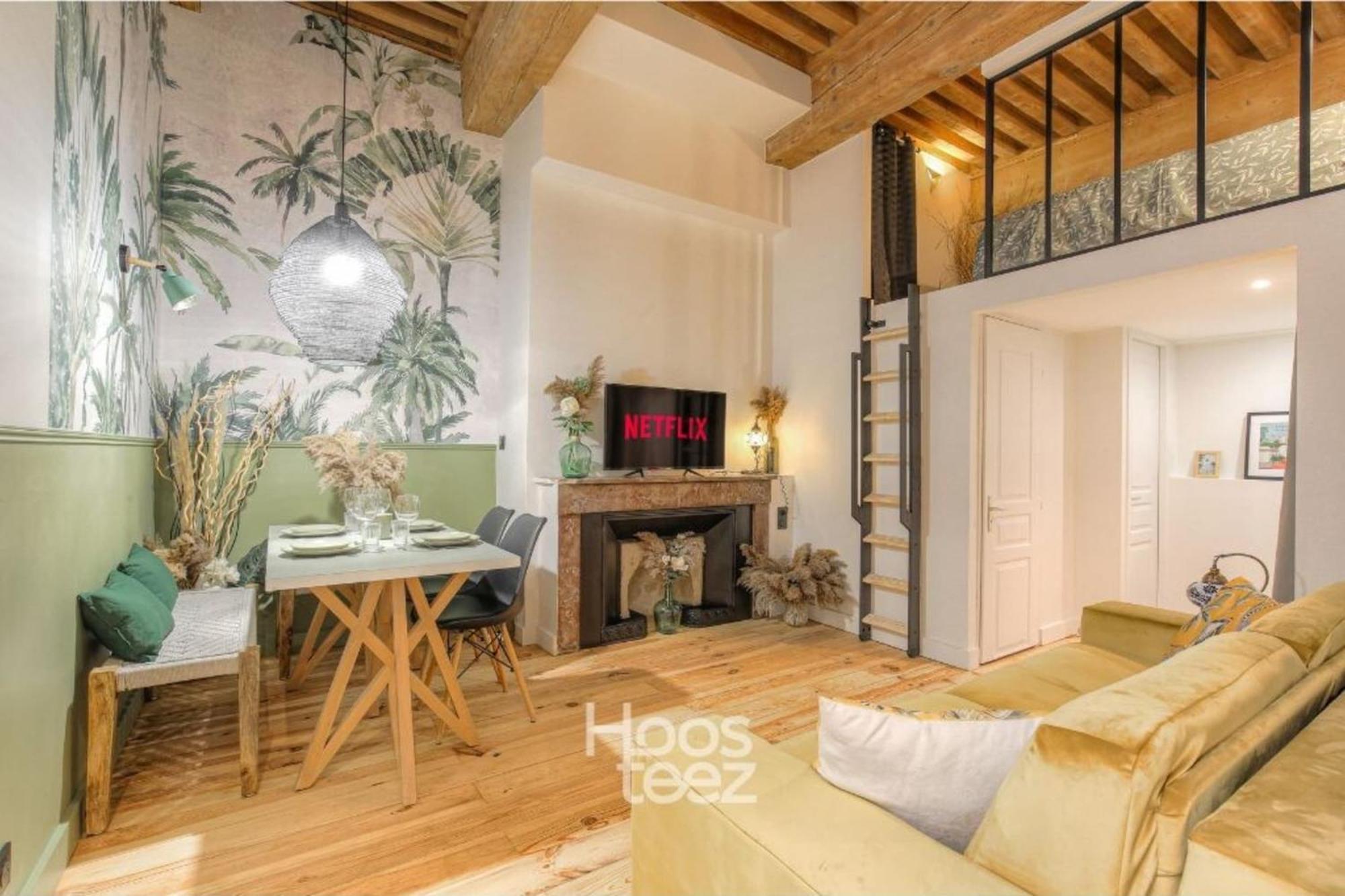 Le Raffine Avec Caractere En Hypercentre Appartement