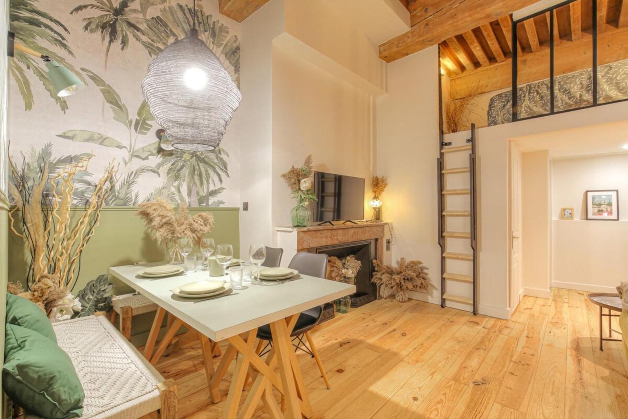 Le Raffine Avec Caractere En Hypercentre Appartement Lyon